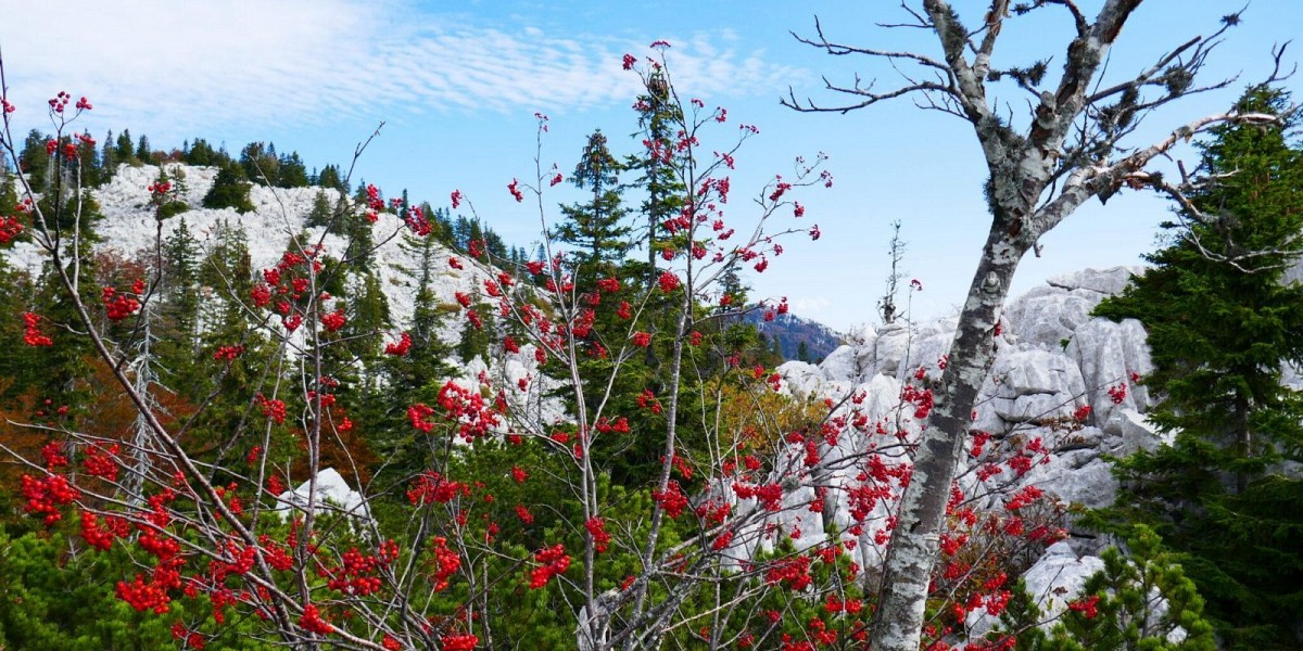 COMMENT J’AI DECOUVERT LE PARC NATIONAL VELEBIT